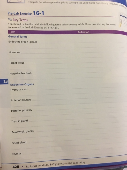 Solved Complete The Following Exercises Prior To Coming T...