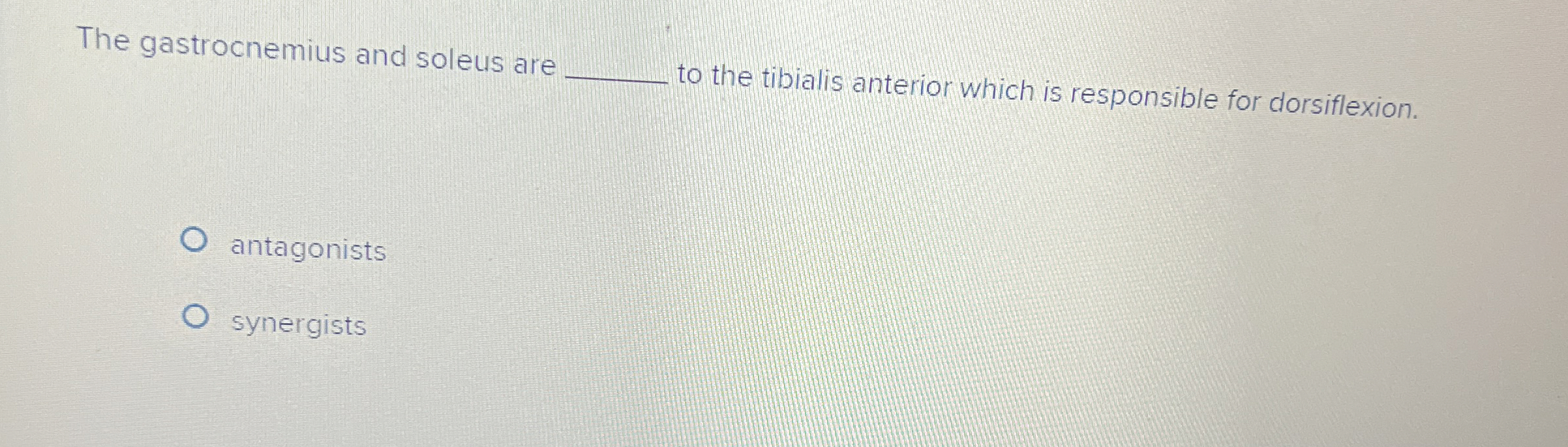 Solved The gastrocnemius and soleus are ﻿to the tibialis
