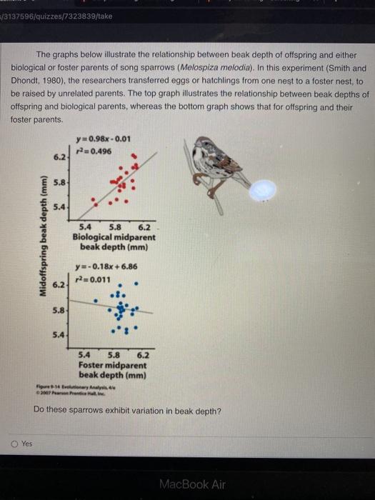 Solved =/3137596/quizzes/7323839/take The graphs below | Chegg.com