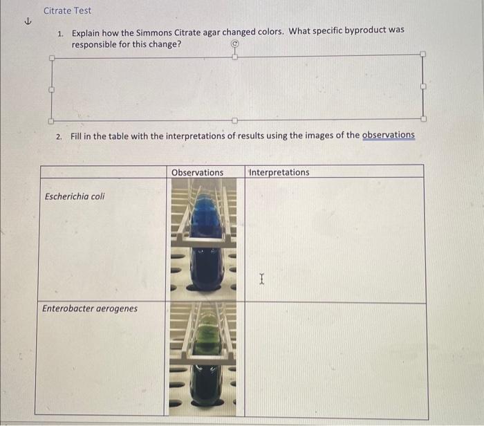 Solved 1. Explain How The Simmons Citrate Agar Changed | Chegg.com