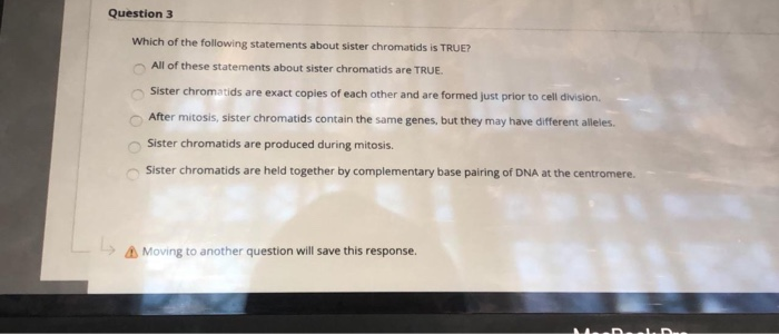 Question 3 Which Of The Following Statements About Chegg 