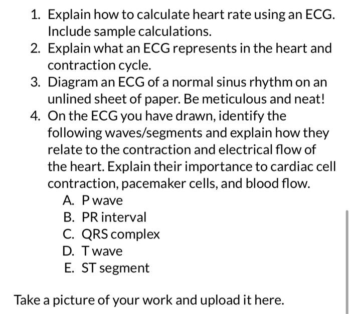 1. Explain how to calculate heart rate using an ECG. Include sample calculations.
2. Explain what an ECG represents in the he