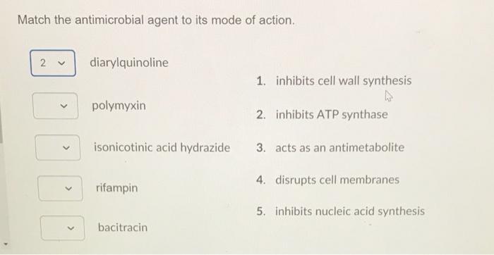 Solved Match the antimicrobial agent to its mode of action. | Chegg.com