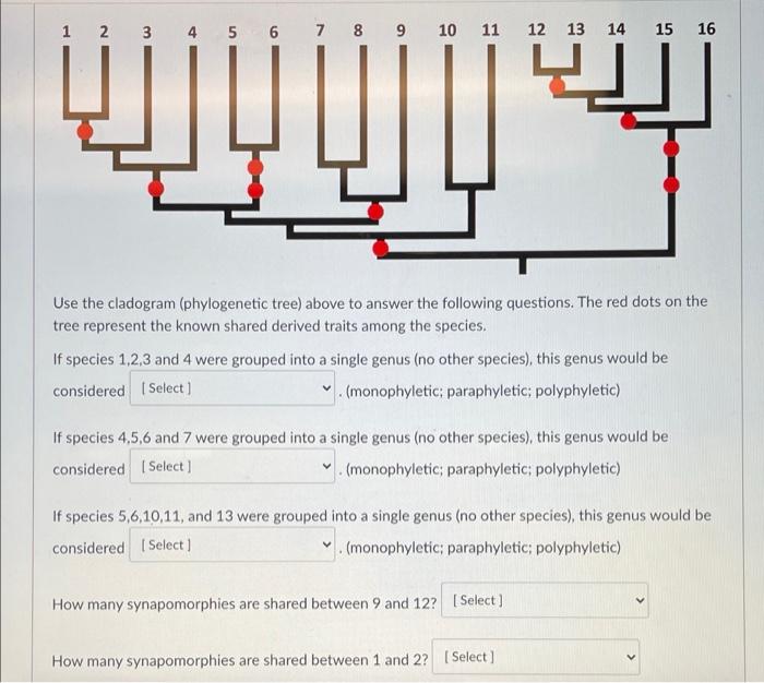 t * sin (t) ? Christmas tree - exploring a famous Reddit discussion -  Online Technical Discussion Groups—Wolfram Community