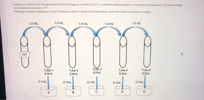 Solved Suppose You Perform The Following Serial Dilutions Of