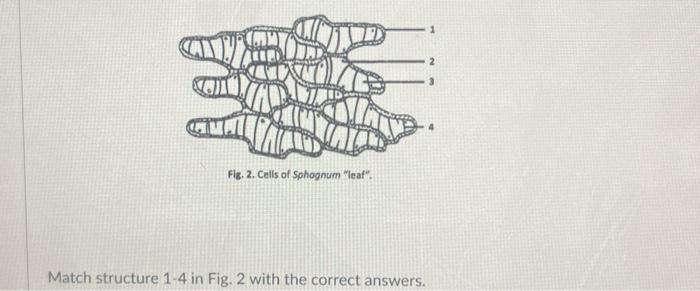 Solved Match structure 1-4 in Fig. 2 with the correct | Chegg.com