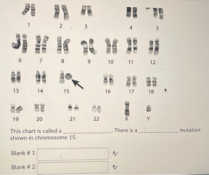 Solved This chart is called a ____________. There is a | Chegg.com