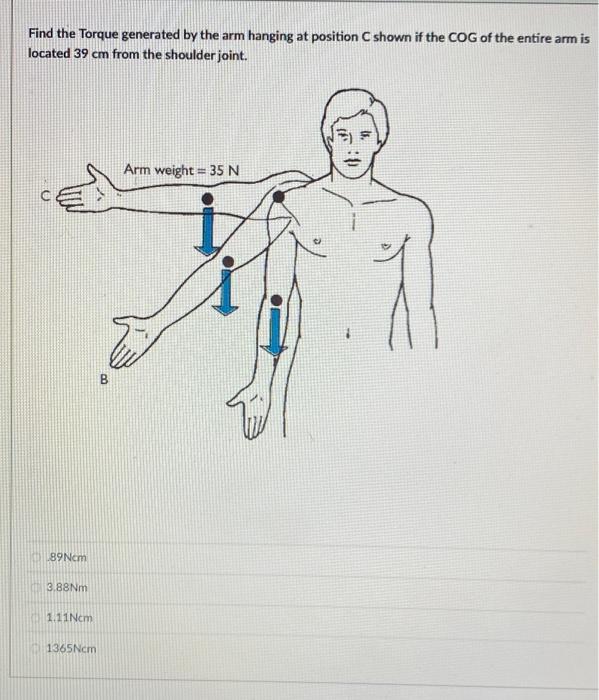 Solved Find the Torque generated by the arm hanging at | Chegg.com