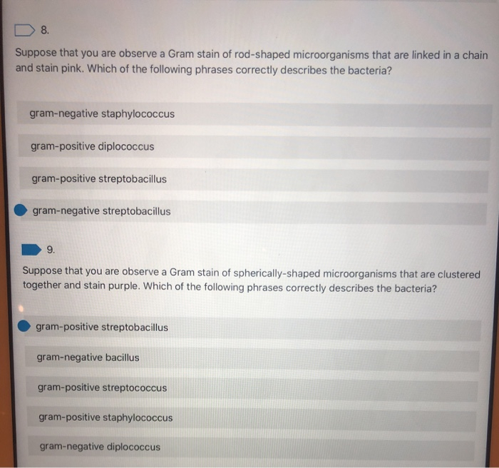 Solved 8. Suppose that you are observe a Gram stain of | Chegg.com