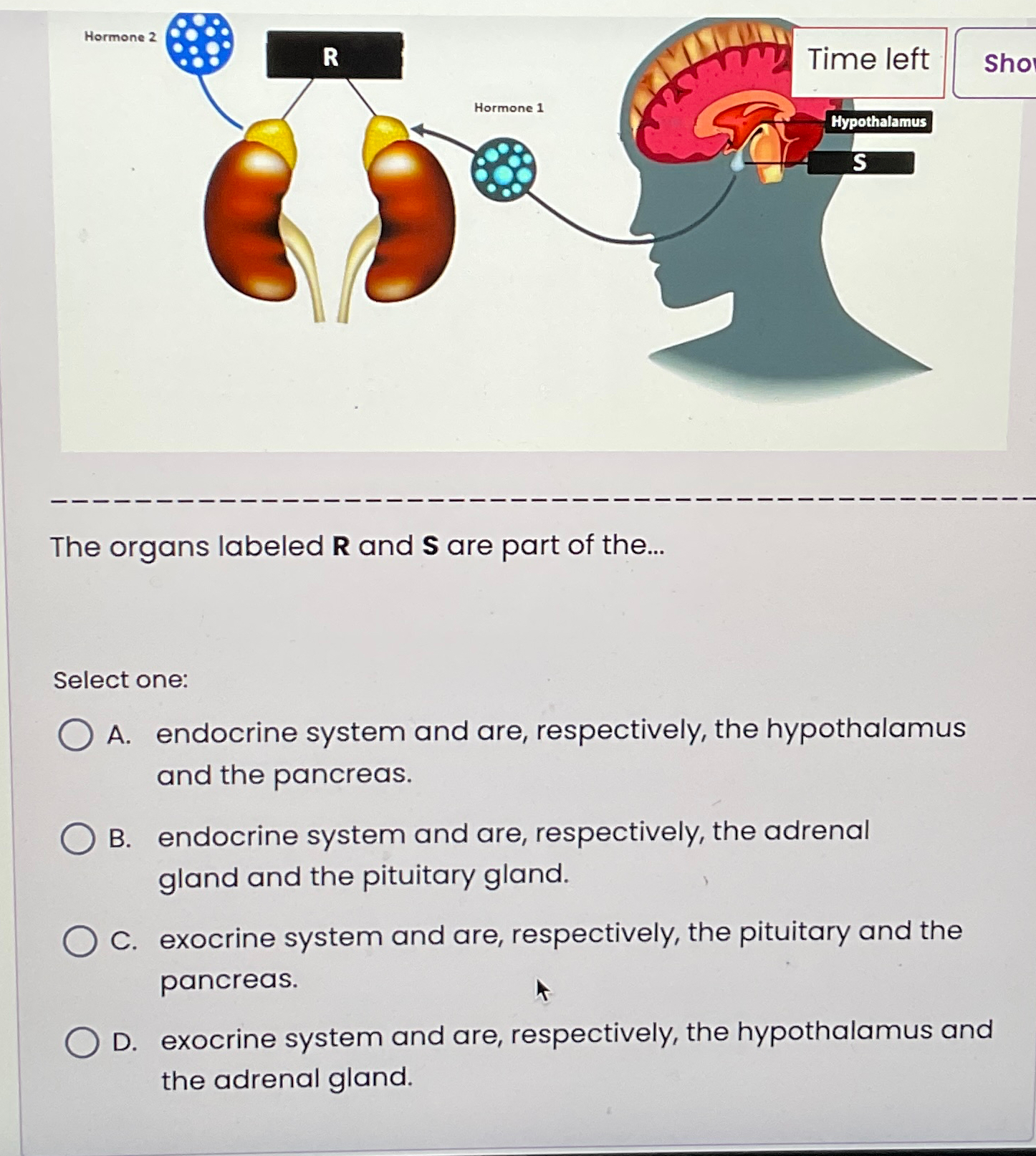 Solved The organs labeled R ﻿and S ﻿are part of the...Select | Chegg.com