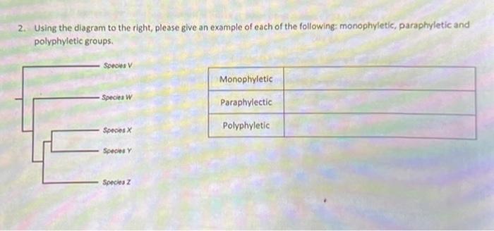 Solved 2. Using the diagram to the right, please give an | Chegg.com