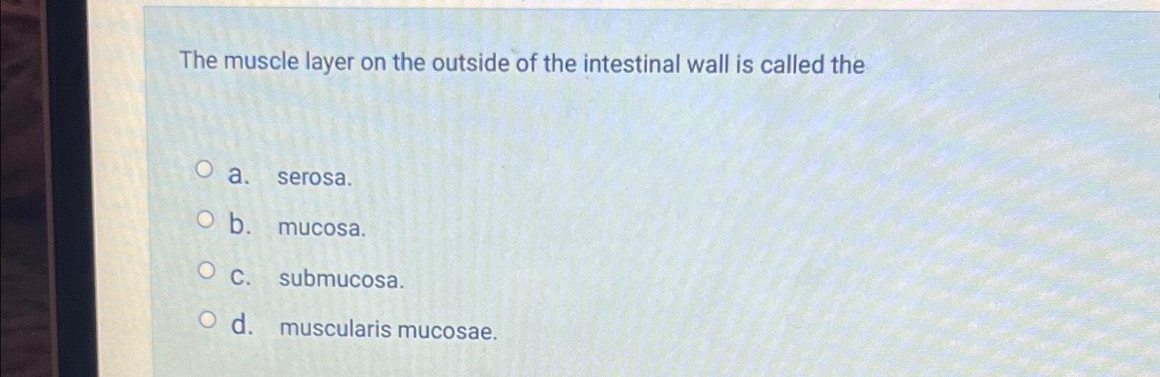 Solved The muscle layer on the outside of the intestinal | Chegg.com
