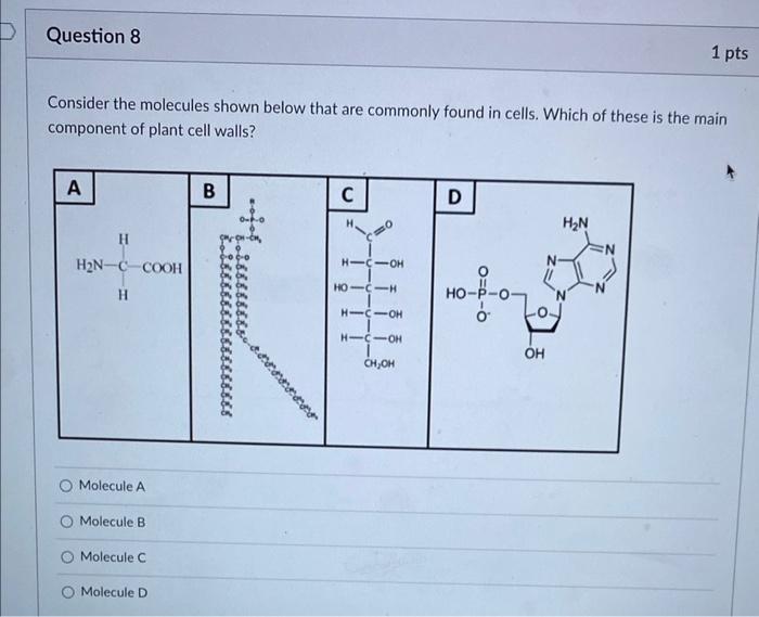 Solved Consider the two molecules shown below. Which one | Chegg.com