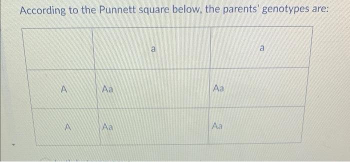 Solved According to the Punnett square below, the parents' | Chegg.com