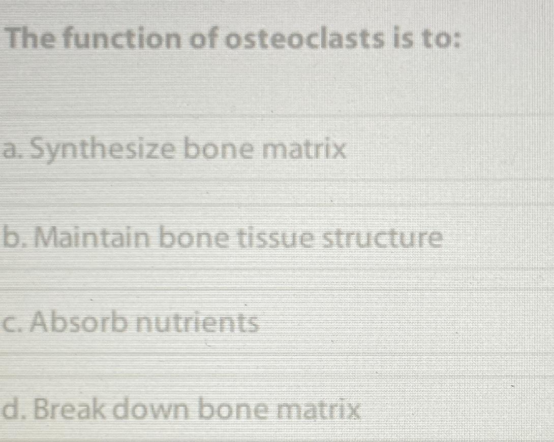 Solved The function of osteoclasts is to:a. ﻿Synthesize bone | Chegg.com
