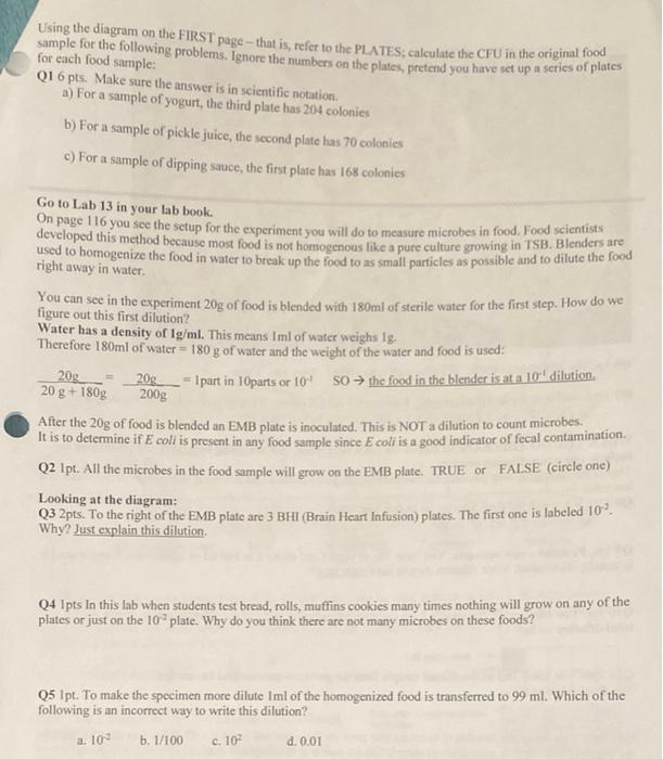 Solved BIO 205 - Lab 13 (Food) lab HW Name/ YOU WILL BE | Chegg.com