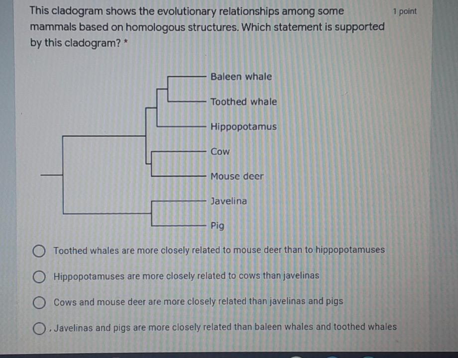Solved A specific trait that is used to construct a | Chegg.com
