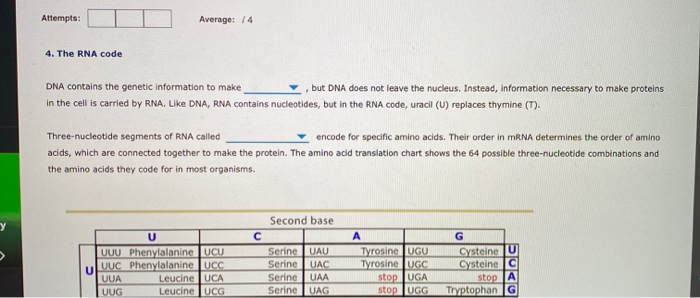 Solved Attempts: Average: 14 4. The RNA code DNA contains | Chegg.com