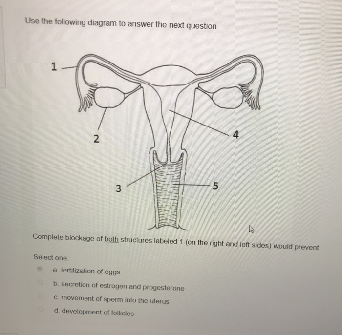 Solved Use the following diagram to answer the next | Chegg.com