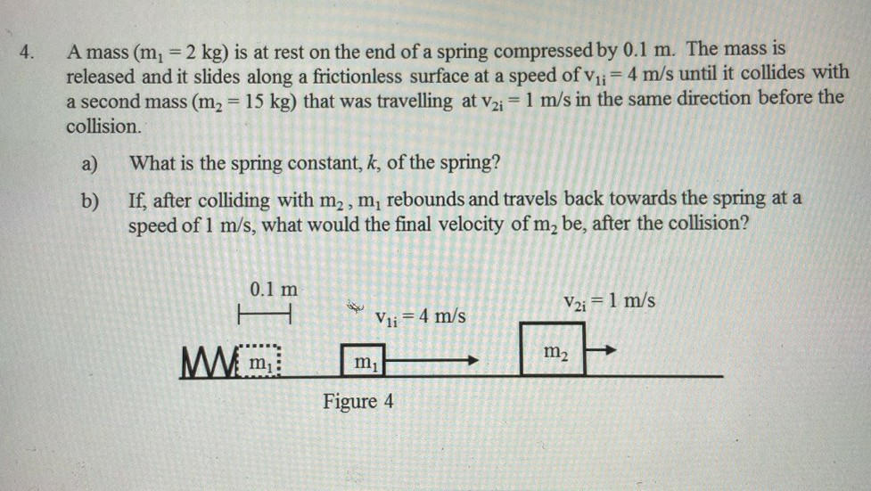 Solved A mass (m, = 2 kg) is at rest on the end of a spring | Chegg.com
