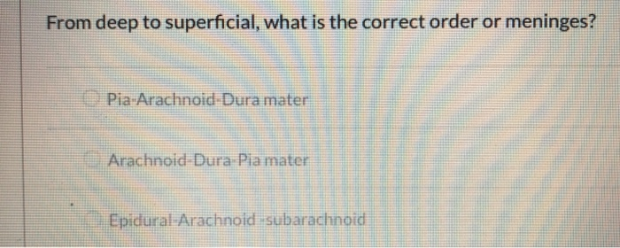 Solved From deep to superficial, what is the correct order | Chegg.com
