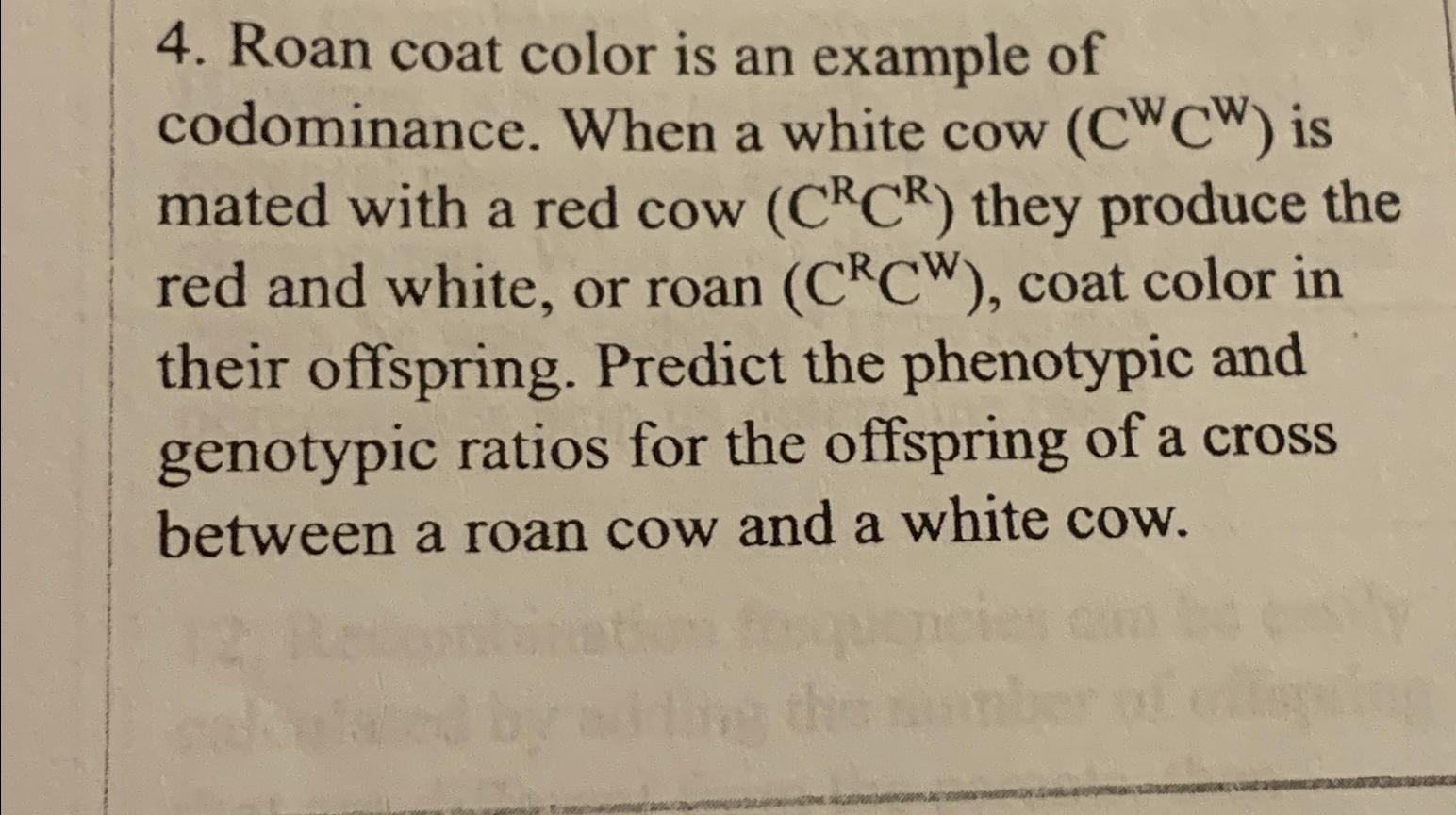 Solved Roan coat color is an example of codominance. When a