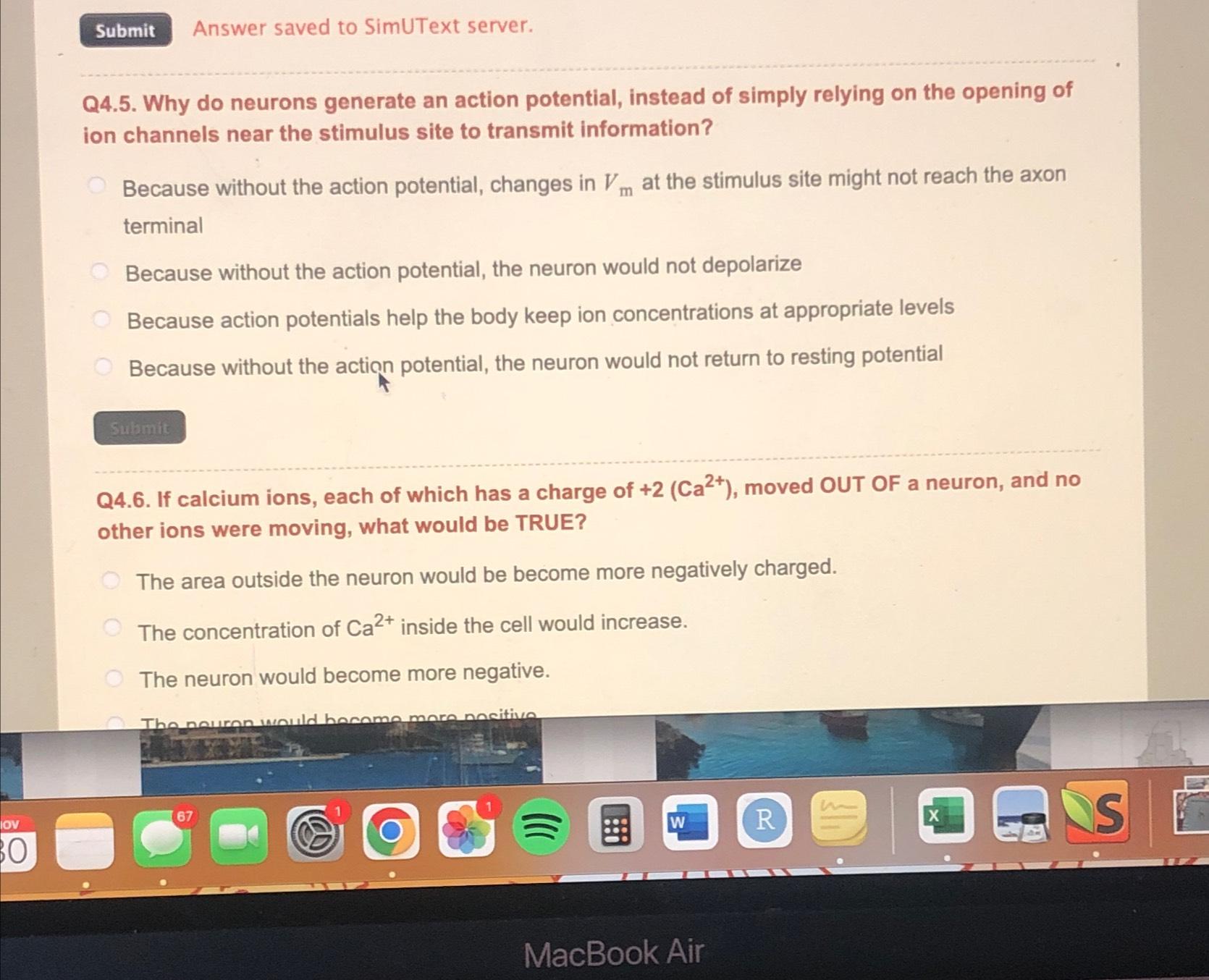 Solved Answer saved to SimUText server.Q4.5. ﻿Why do neurons | Chegg.com