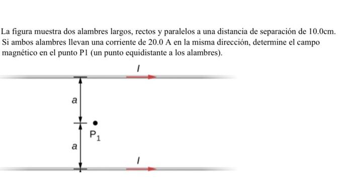 La figura muestra dos alambres largos, rectos y paralelos a una distancia de separación de \( 10.0 \mathrm{~cm} \). Si ambos