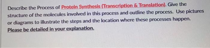 Solved Describe the Process of Protein Synthesis | Chegg.com
