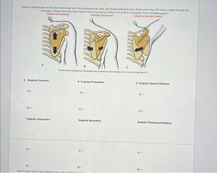 A textbook of obstetrics . Fig. 253. Presentation I the umbili  ABNORMALITIES IN MECHANISM. 93 cent parts—namely, the axilla, the clavicle,  the spine of thescapula, the acromion process, the head of the
