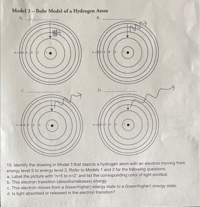 Electron Energy And Light Worksheet Answer Key Pogil Shelly Lighting