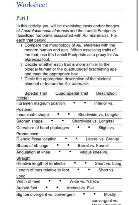 Worksheet Part I In this activity, you will be | Chegg.com