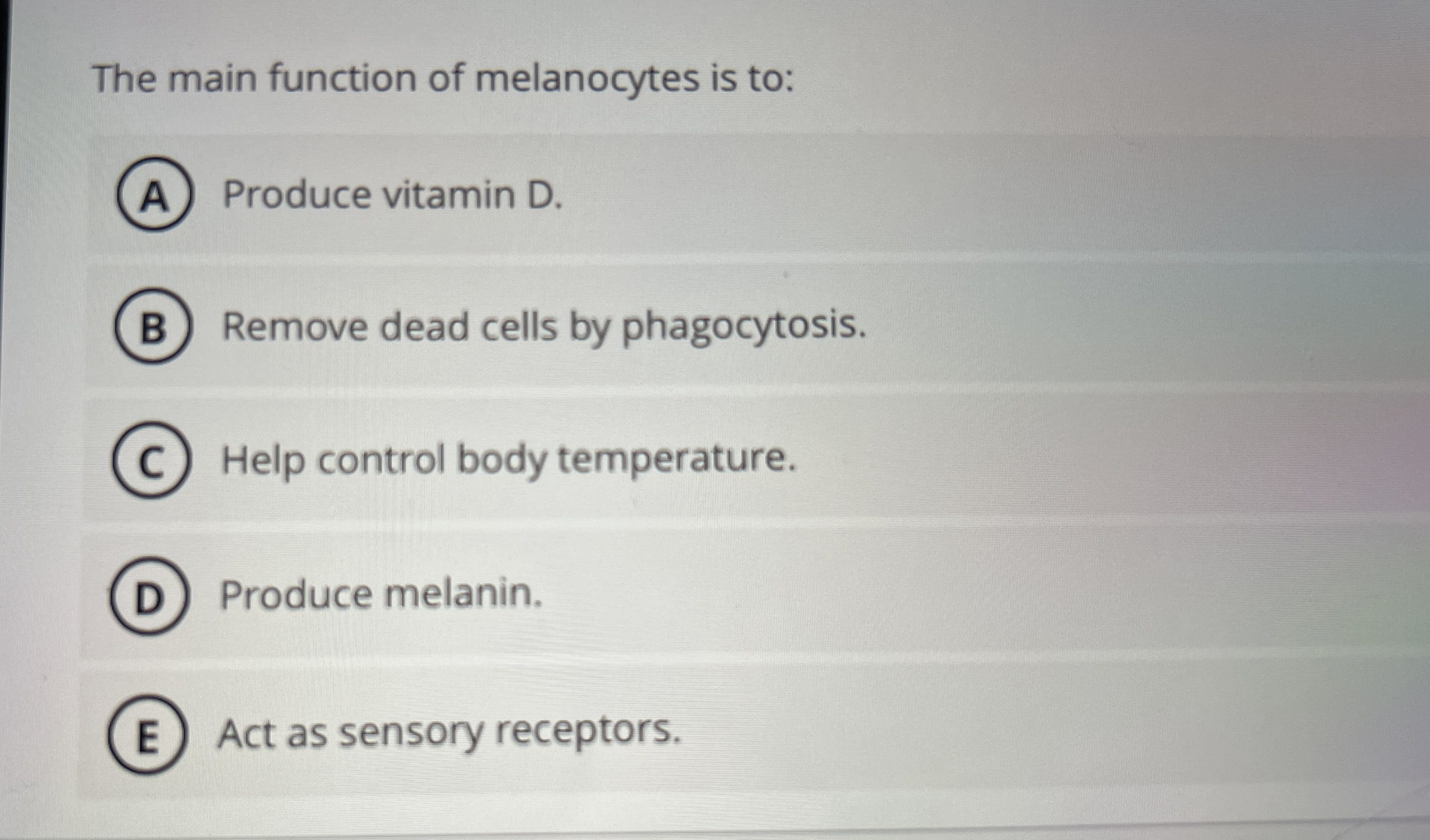 Solved The main function of melanocytes is toProduce