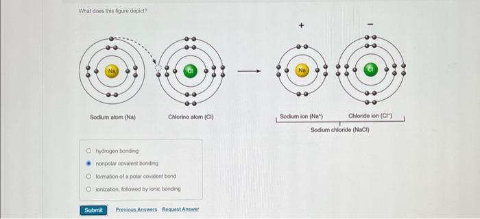 Solved What does this tigure dopict? tydrogen bonding | Chegg.com