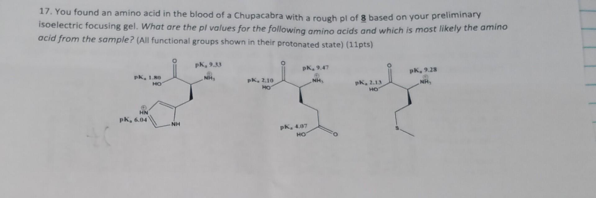Solved 17. You found an amino acid in the blood of a | Chegg.com