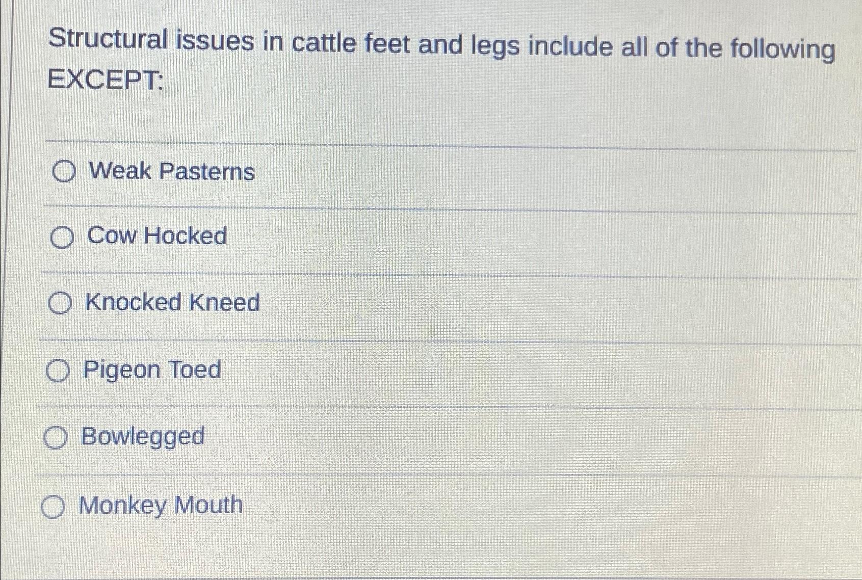 Solved Structural issues in cattle feet and legs include all