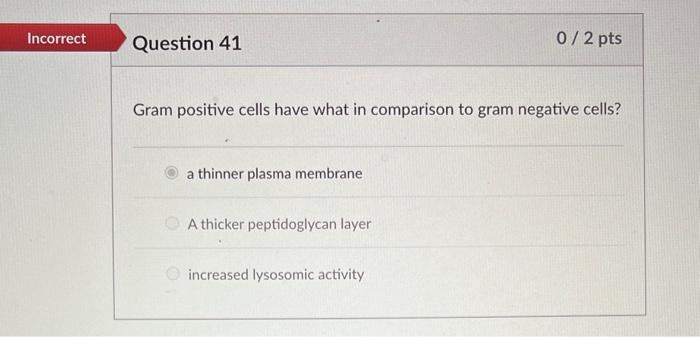 Solved Gram positive cells have what in comparison to gram | Chegg.com