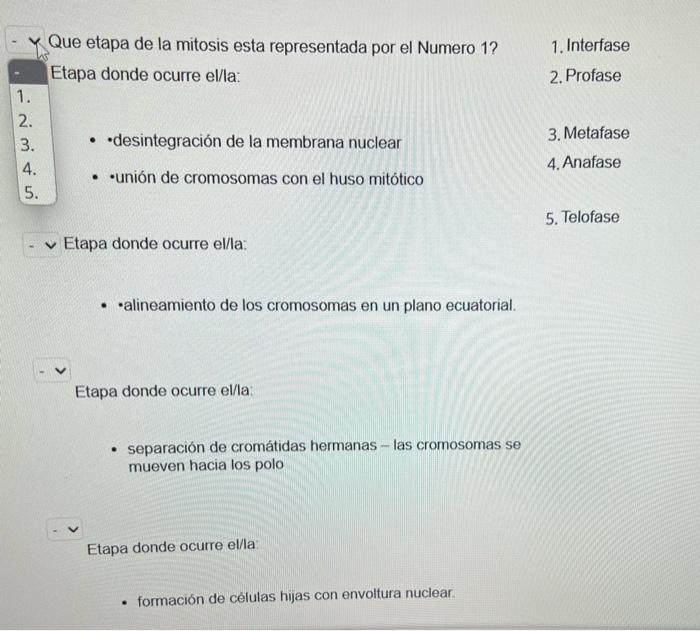 Solved Identifique La Etapa Y Describa Lo Que Esta Chegg Com