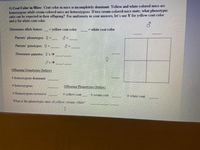 Solved 4) Coat Color in Mice Coat color in mice is