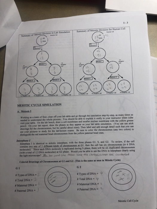 How Many Arrangements Are Possible With 2 Differen Chegg Com