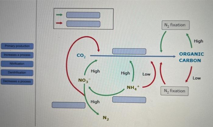 Solved Correctly identify the steps and parts in these | Chegg.com