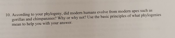 Solved 10. According to your phylogeny, did modern humans | Chegg.com