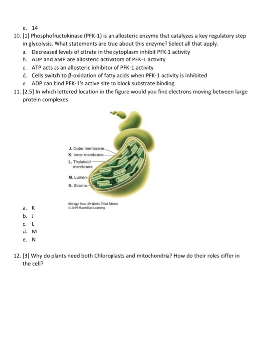 Solved E. 14 10.[1] Phosphofructokinase (pfk-1) Is An 