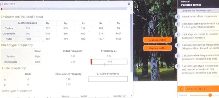 Lab Data -X PHASE Polluted Forest Complete The | Chegg.com