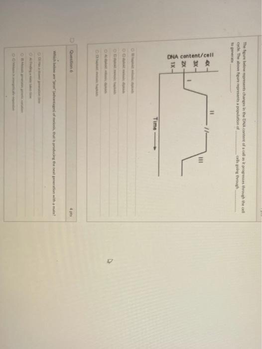 Solved Question 3 4 pts A scientist discovers a new | Chegg.com