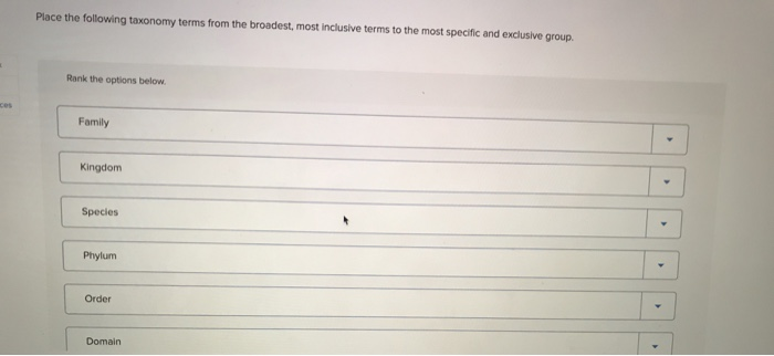 Solved Place The Following Taxonomy Terms From The Broade Chegg Com
