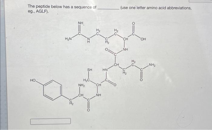 Solved The peptide below has a sequence of (use one letter | Chegg.com