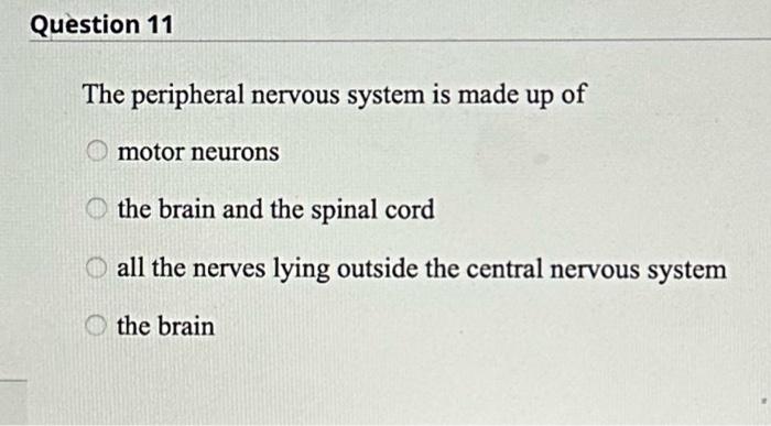 Solved The peripheral nervous system is made up of motor | Chegg.com