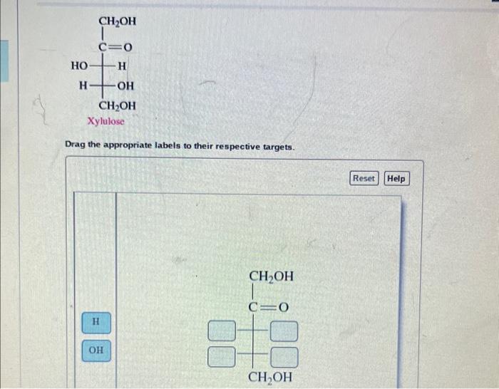 Solved Drag the appropriate labels to their respective | Chegg.com