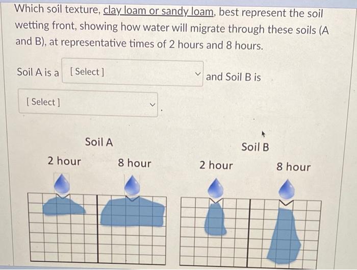 Solved Soil A Is Clay Loam Or Sand Loam And Soil B Is Sandy | Chegg.com